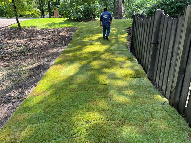 Landscape Design