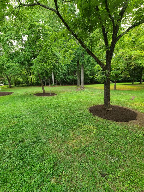 Lawn Maintenance