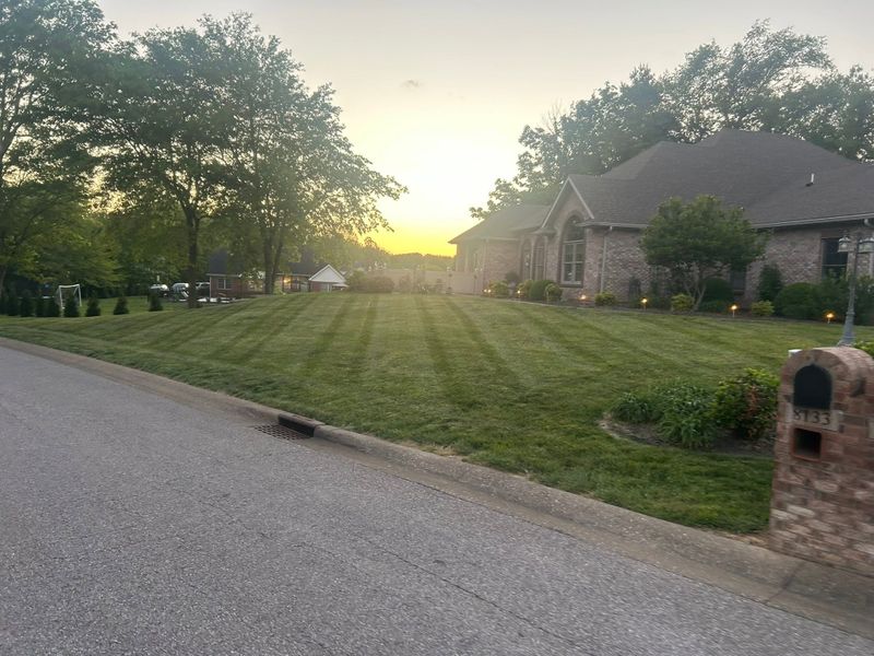 Landscaping