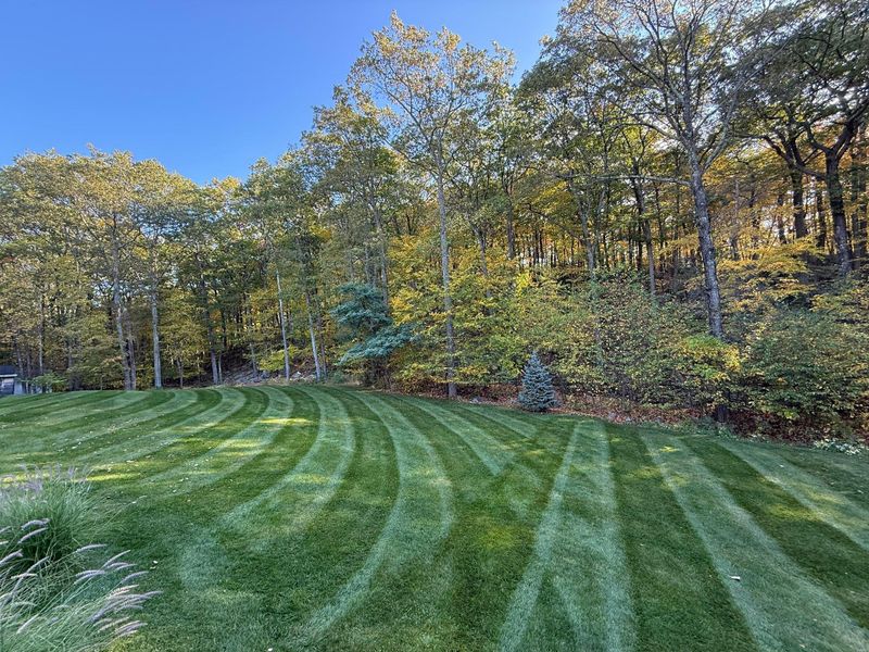 Lawn Maintenance