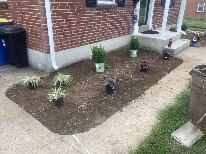 Landscape Design
