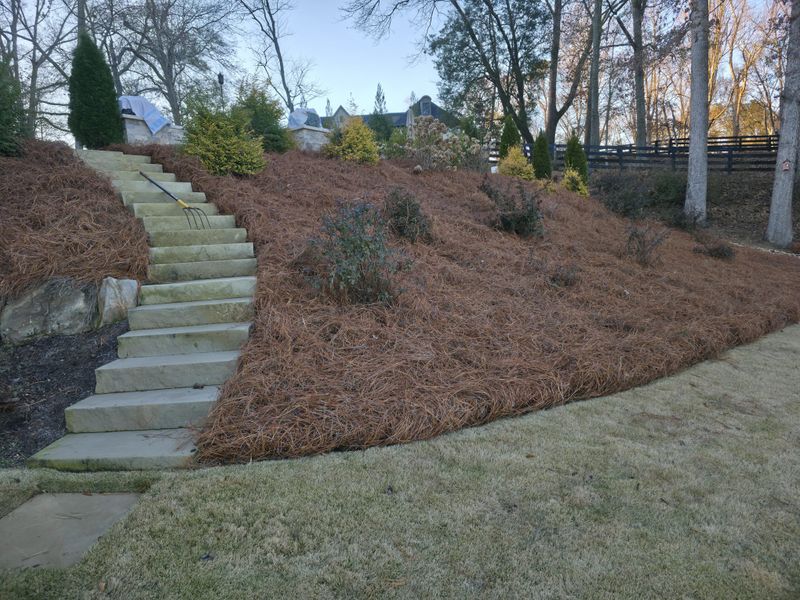 Landscaping