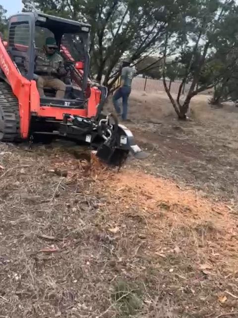 Tree Trimming & Stump Grinding