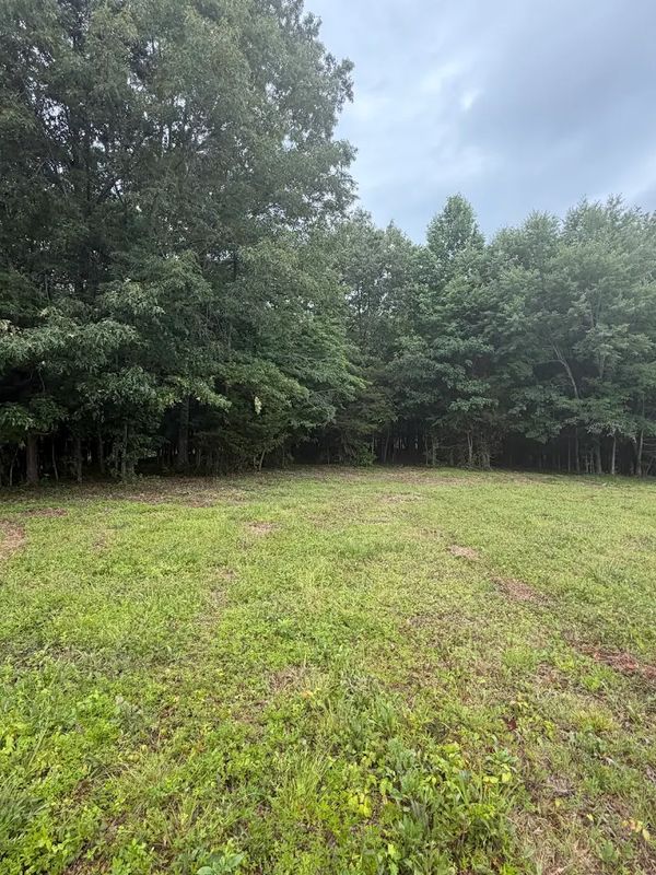 Brush Clearing