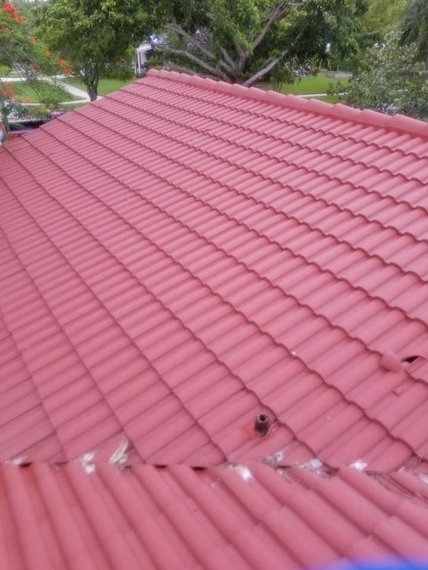 Roof Cleaning