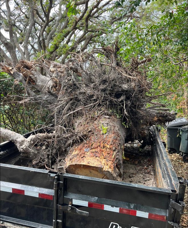 Stump Removal