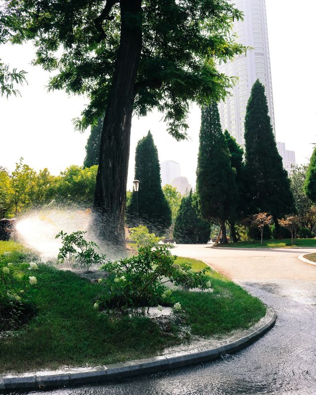 Irrigation Systems