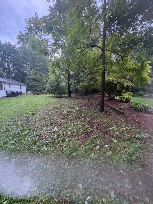 Land Clearing