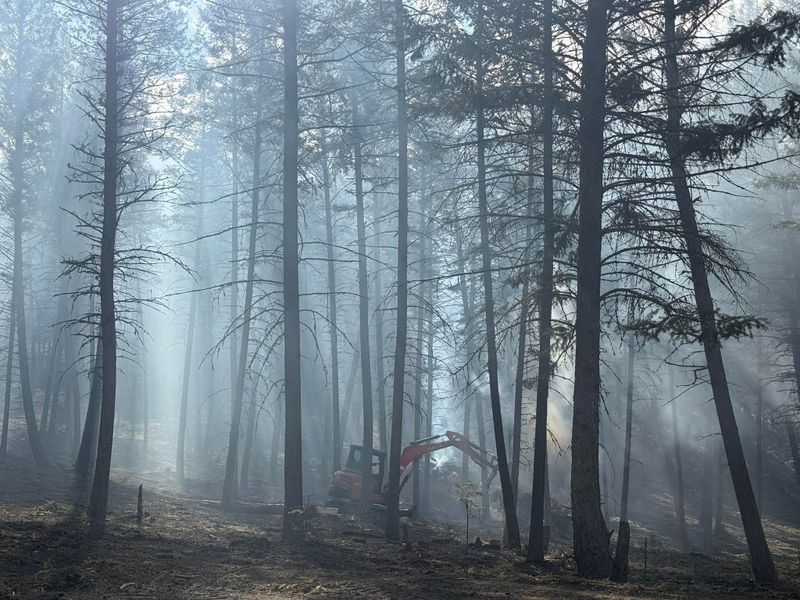 Land Clearing