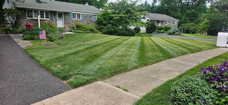 Lawn Maintenance
