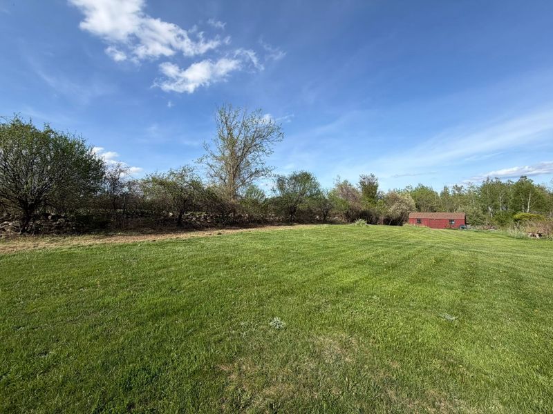 Lawn Maintenance