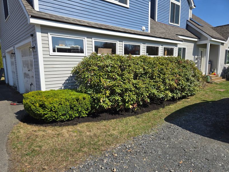Shrub Trimming