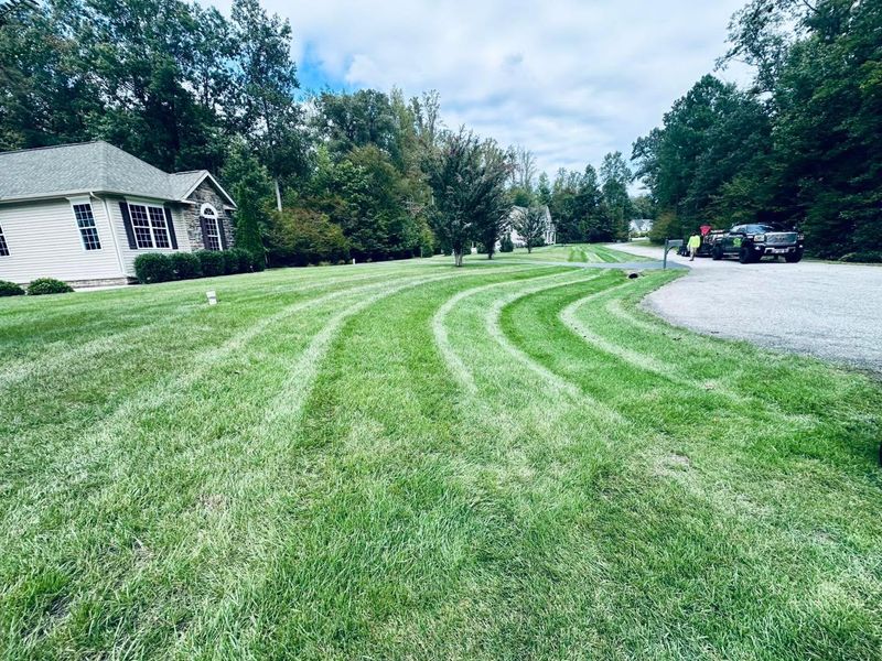 Spring and Fall Clean Up