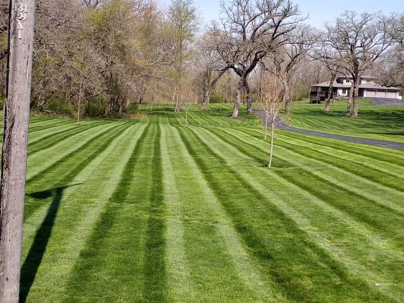 Weekly Lawn Mowing