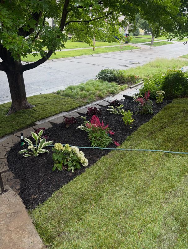 Mulch Installation