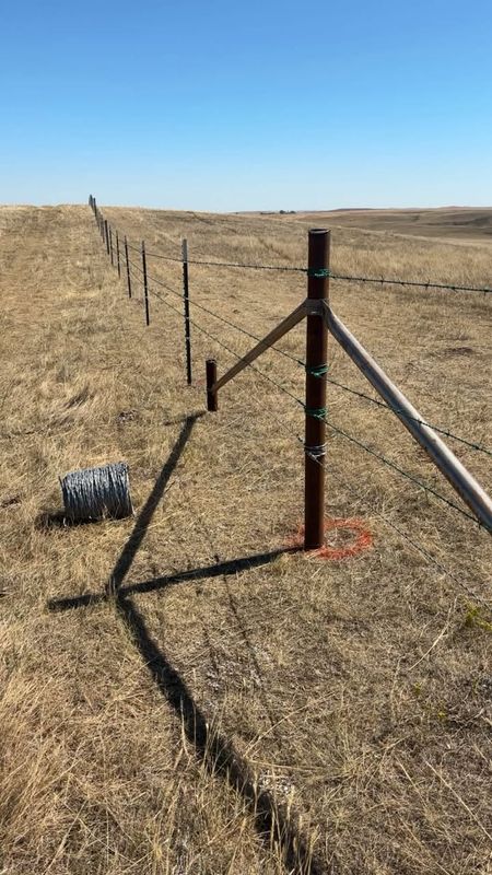Fencing Installation