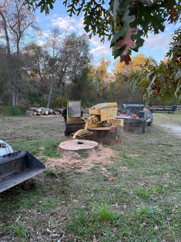 Stump Removal