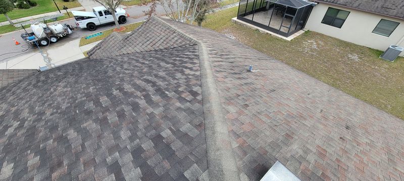 Roof Cleaning