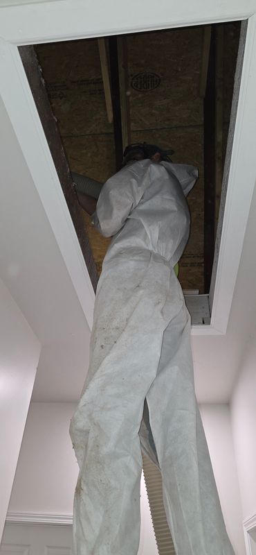 Attic Insulation