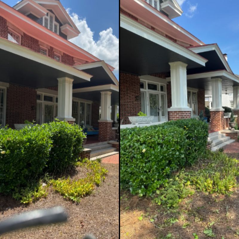 Lawn Care