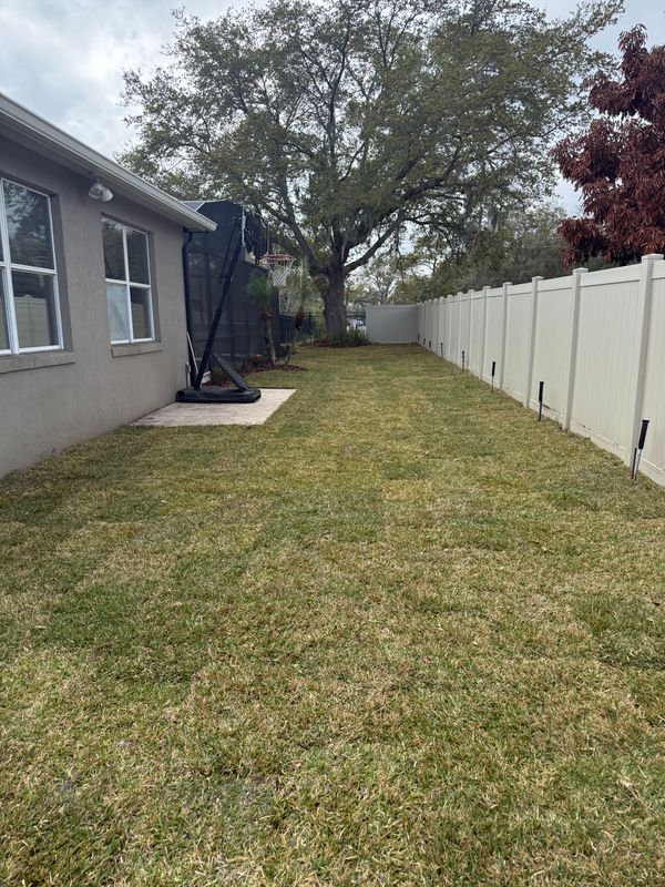 Sod Installation