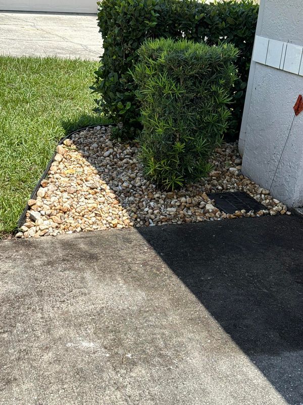 Shrub Trimming