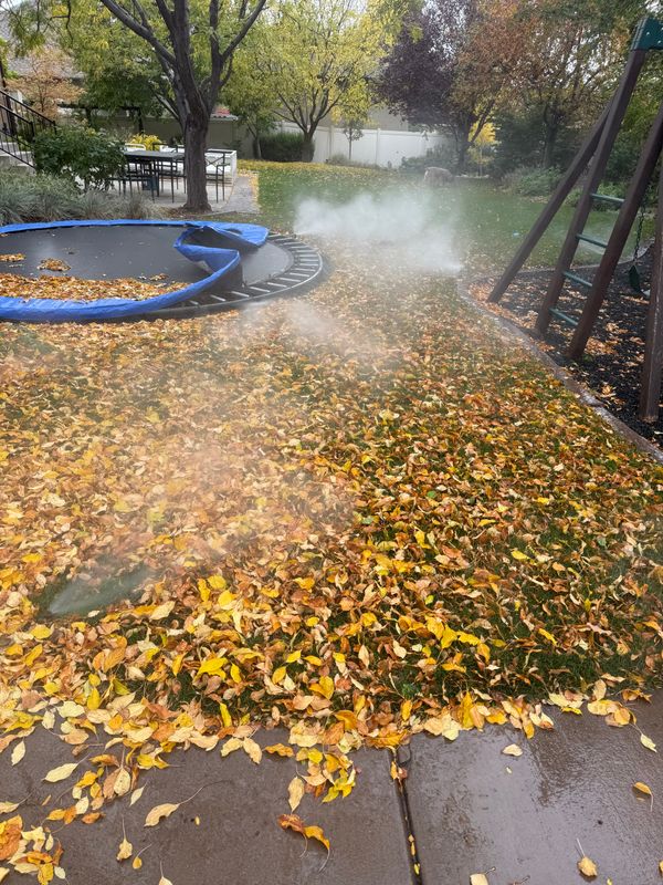 Sprinkler Blowout