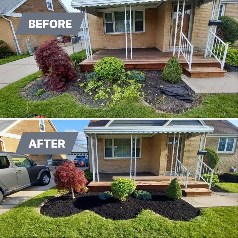 Shrub & Plant Installation Photos