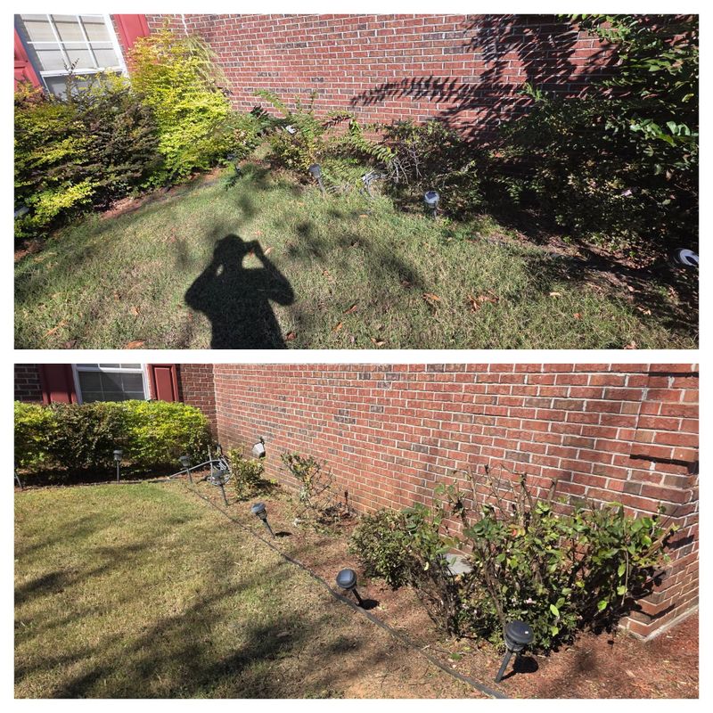 Garden Designs
