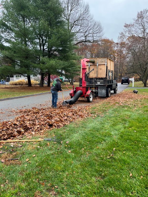 Fall Clean Up
