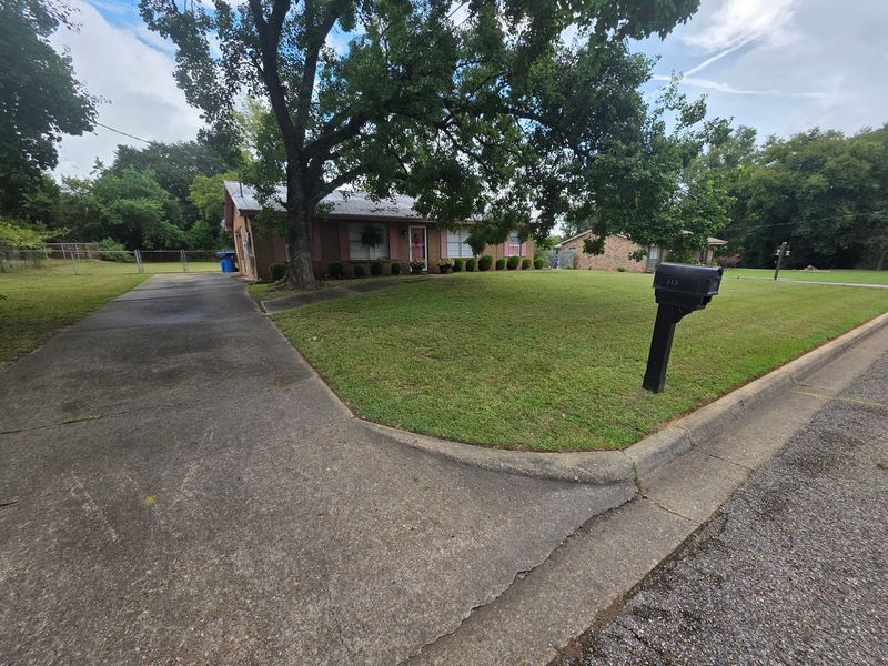 Lawn Maintenance