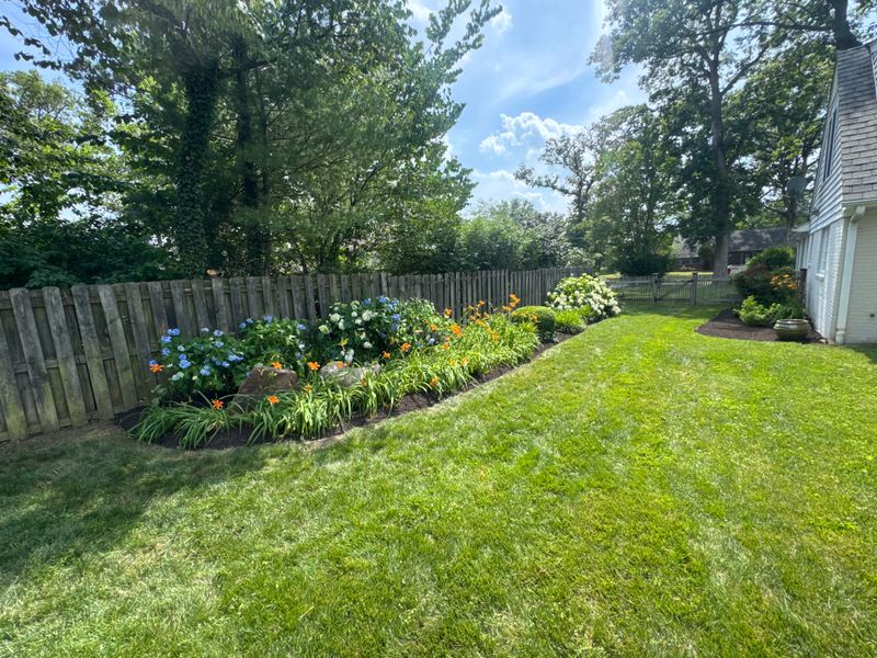 Lawn Care & Maintenance
