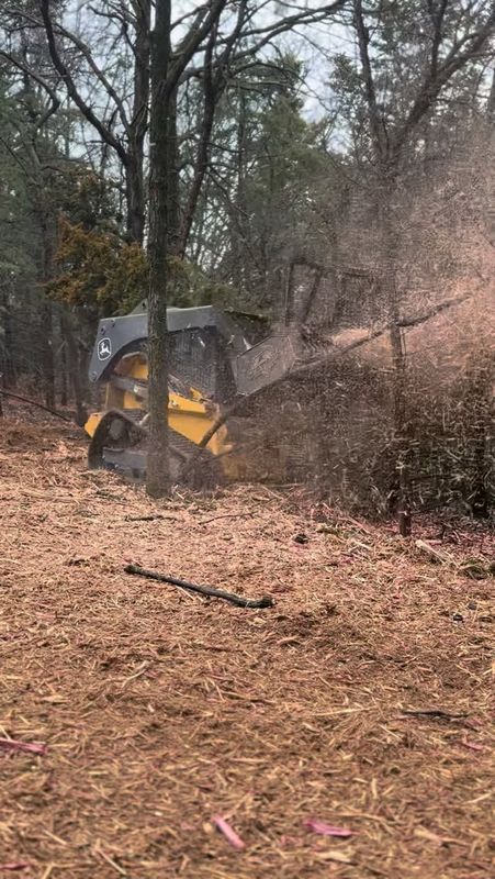 Forestry Mulching