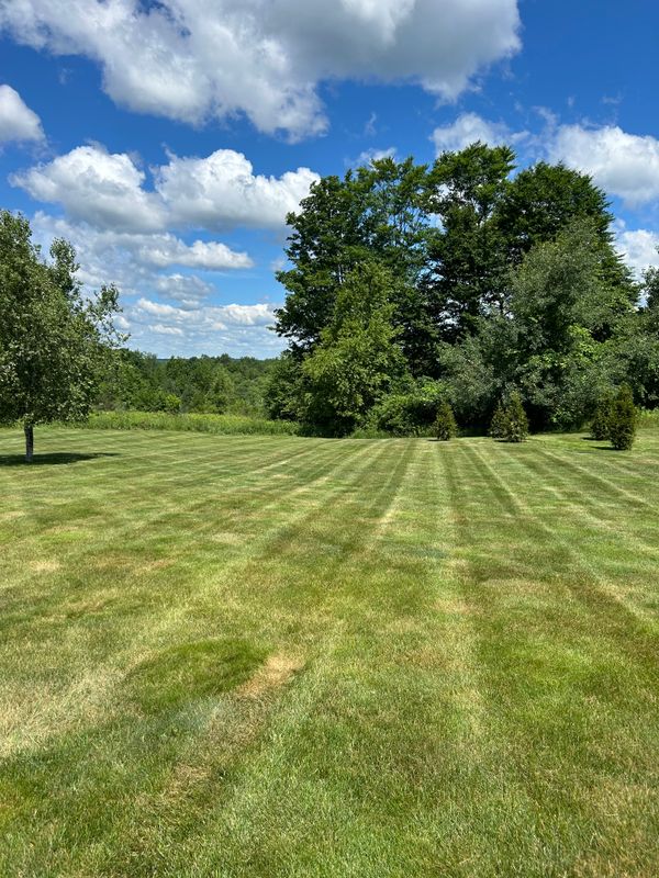 Lawn Maintenance