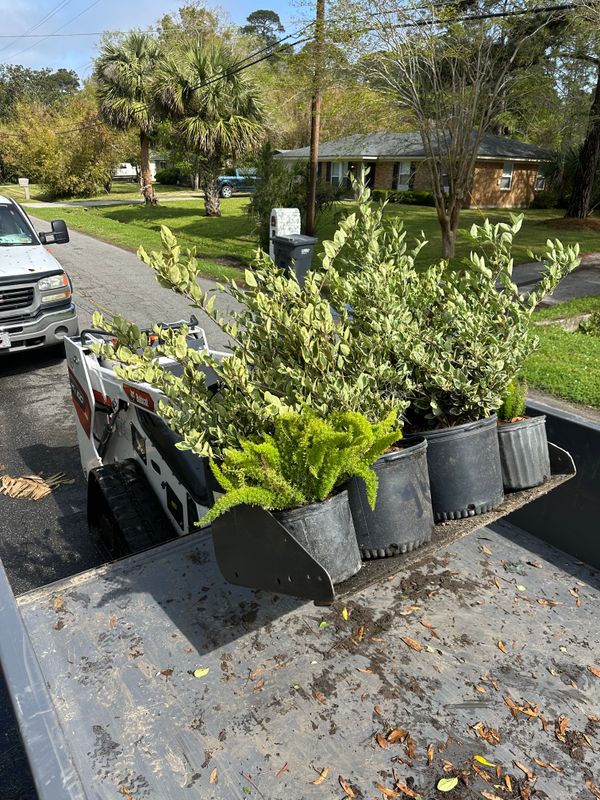 Landscaping