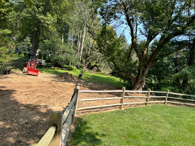Excavation, Clearing & Tree Work