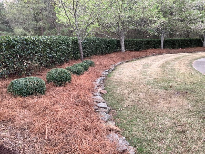 Lawn Care and Maintenance