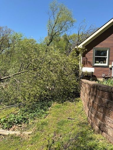 Tree Removal
