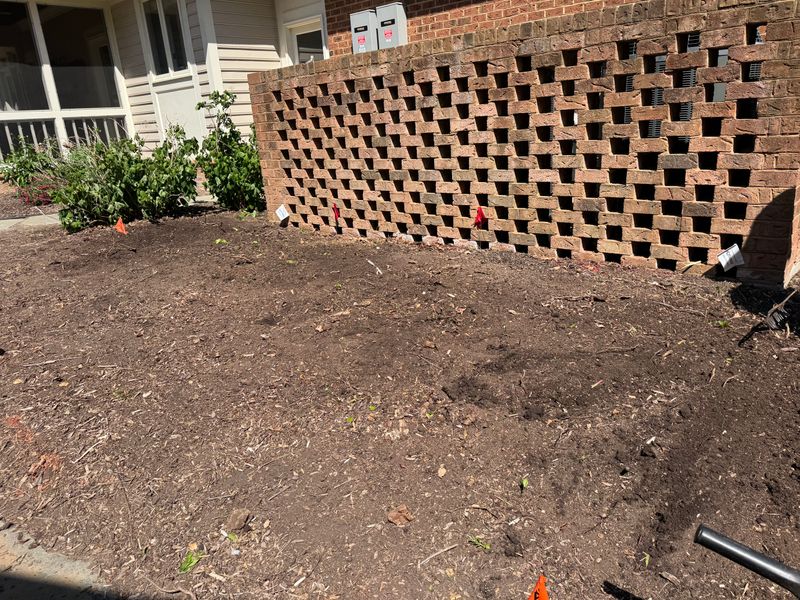 Stump Removal Gallery