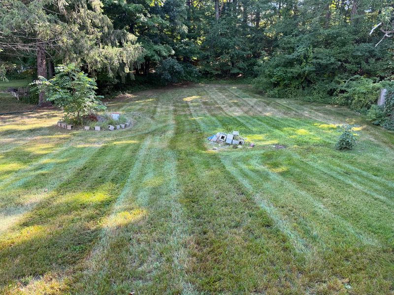 Lawn Maintenance