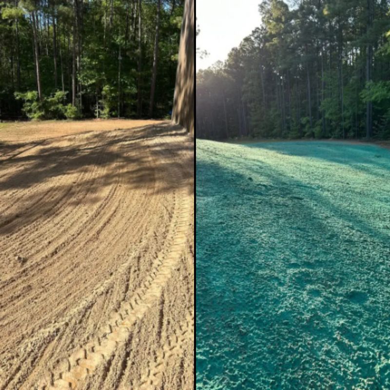 Hydroseeding gallery
