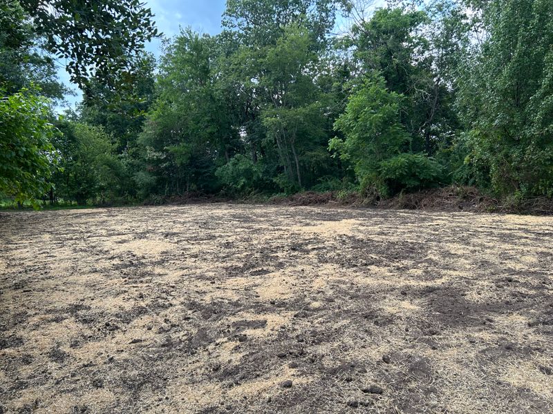 Land Clearing