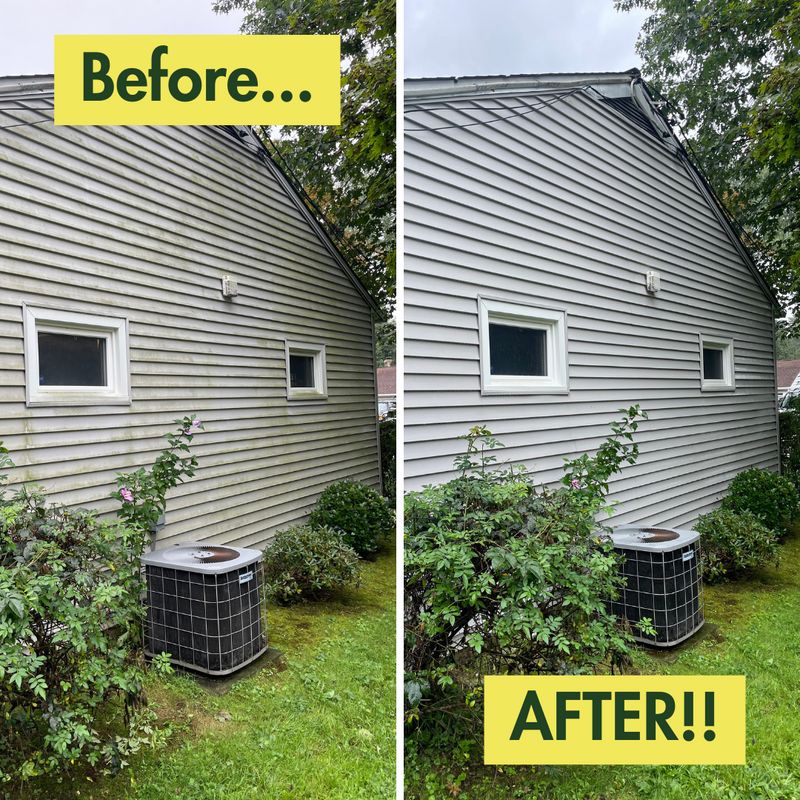 Before & After Photos