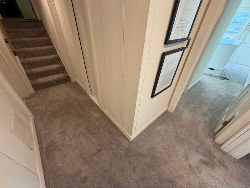 Carpet Installation and Repair