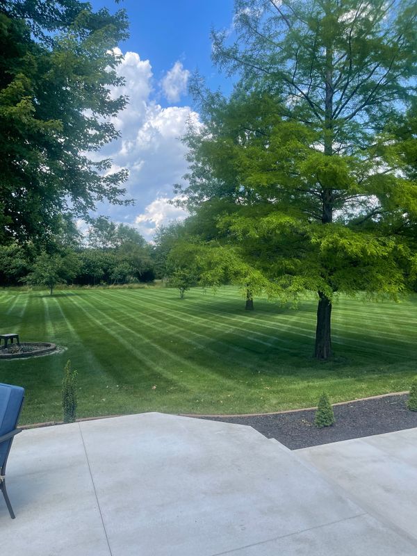 Mowing