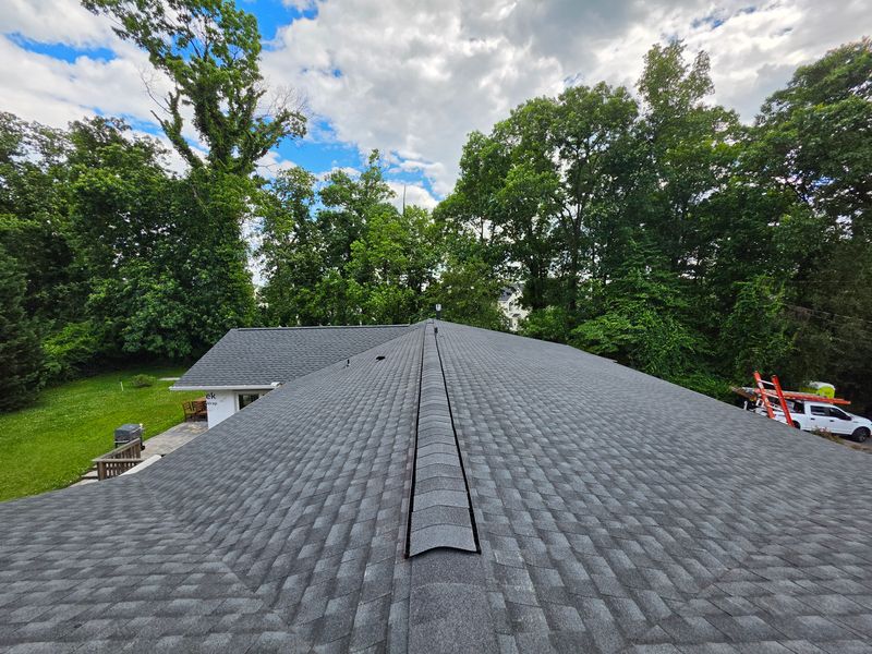 Residential Roofing