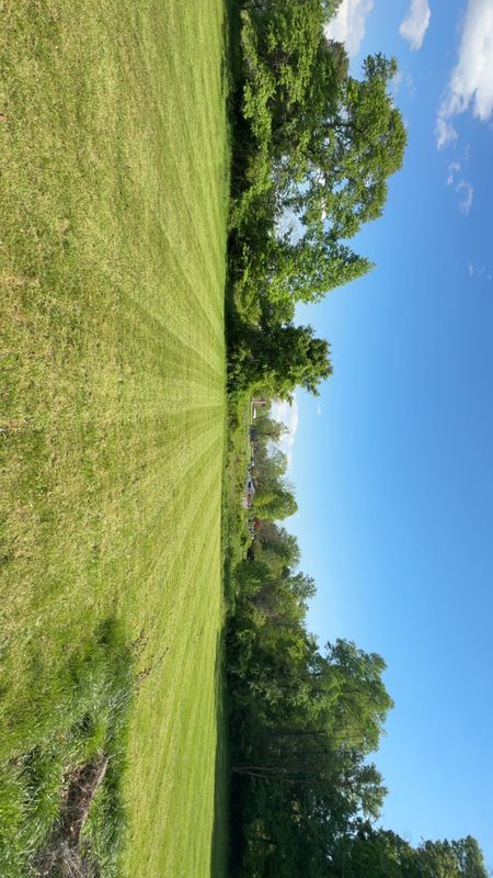 Lawn Maintenance