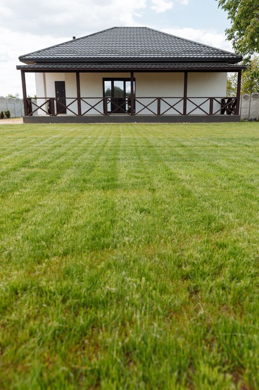 Lawn Care and Maintenance