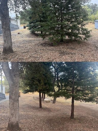 Land Clearing
