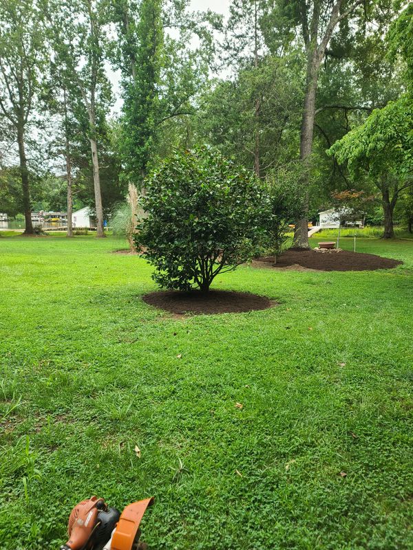 Lawn Maintenance